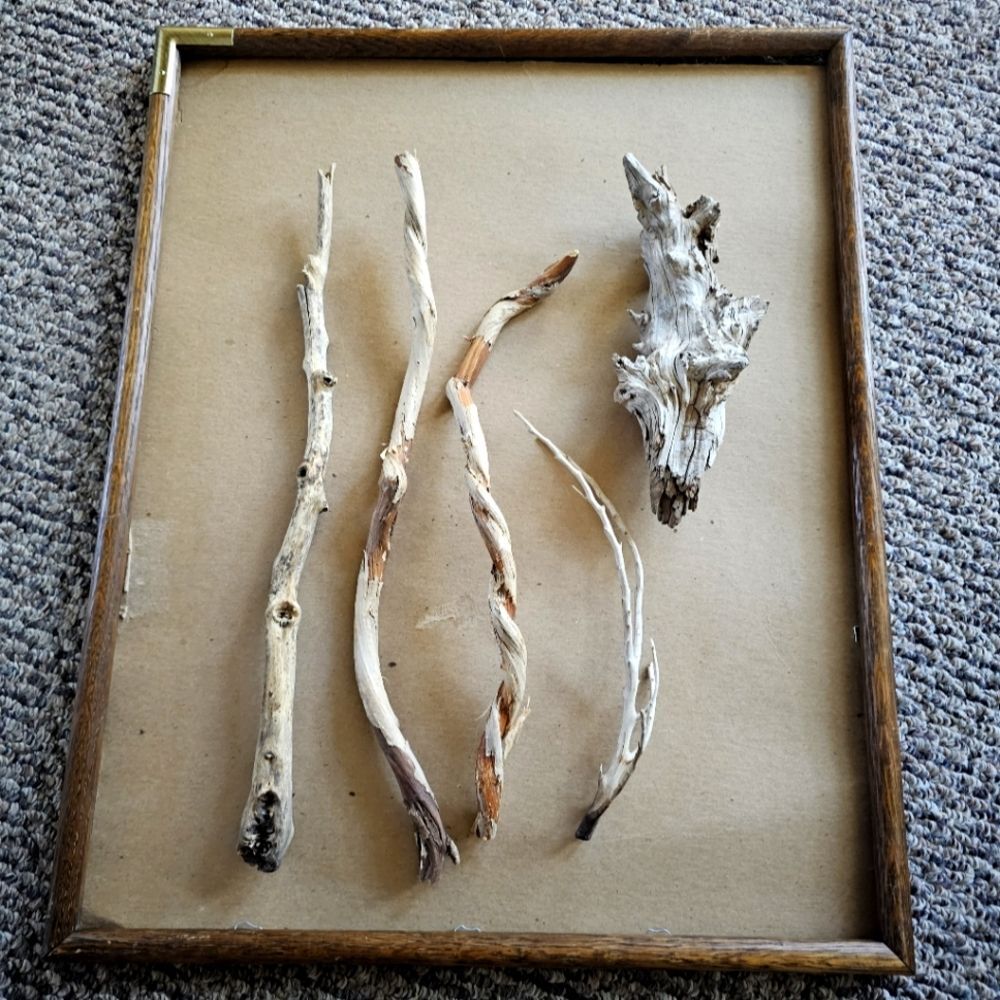 Driftwood Decor Terrarium Combo Pack Taxidermy Aquarium Aquascape Reptile Parrot